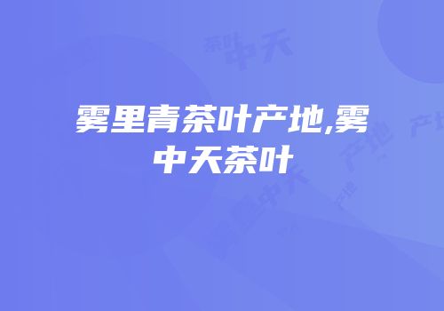 雾里青茶叶产地,雾中天茶叶