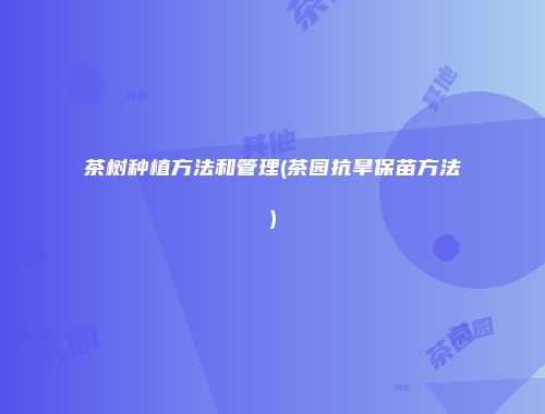 茶树种植方法和管理(茶园抗旱保苗方法)