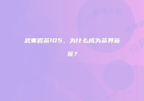 武夷岩茶105，为什么成为茶界新宠？