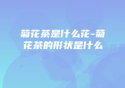 菊花茶是什么花-菊花茶的形状是什么