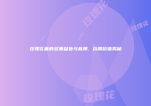 玫瑰花蕾的多重益处与食用、药用价值揭秘