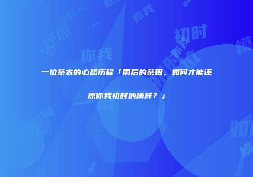 一位茶农的心路历程「雨后的茶田，如何才能还原你我初时的模样？」
