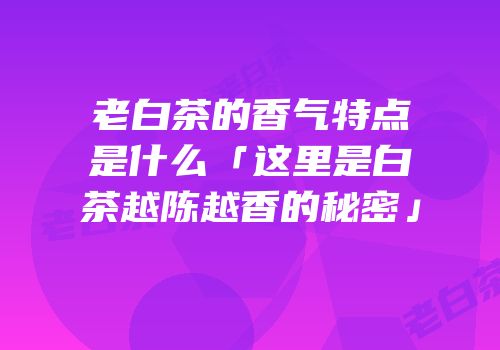 老白茶的香气特点是什么「这里是白茶越陈越香的秘密」