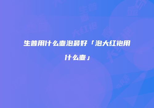 生普用什么壶泡最好「泡大红袍用什么壶」