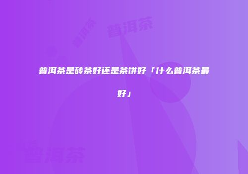 普洱茶是砖茶好还是茶饼好「什么普洱茶最好」