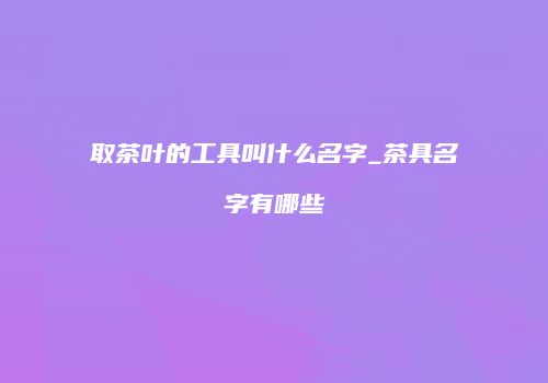 取茶叶的工具叫什么名字_茶具名字有哪些