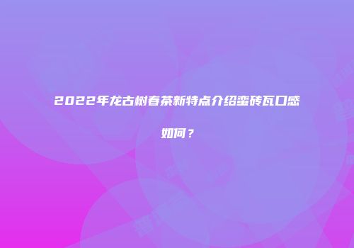 2022年龙古树春茶新特点介绍蛮砖瓦口感如何？