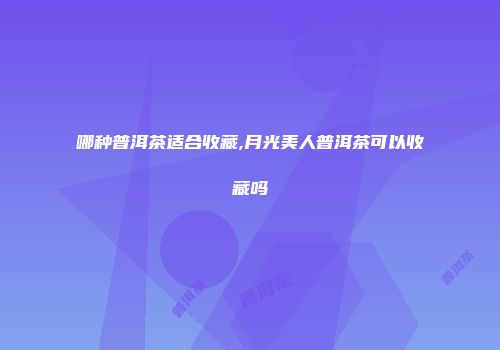 哪种普洱茶适合收藏,月光美人普洱茶可以收藏吗