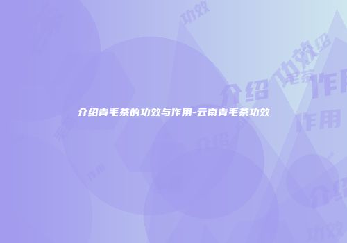 介绍青毛茶的功效与作用-云南青毛茶功效