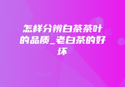 怎样分辨白茶茶叶的品质_老白茶的好坏