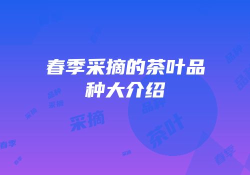春季采摘的茶叶品种大介绍