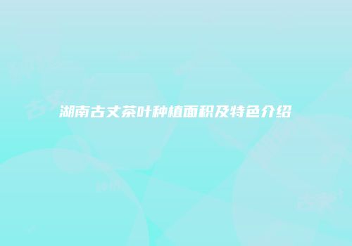 湖南古丈茶叶种植面积及特色介绍