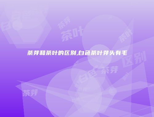 茶芽和茶叶的区别,白色茶叶芽头有毛