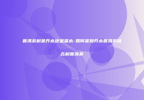 普洱茶树是乔木还是灌木-如何鉴别乔木普洱茶和古树普洱茶