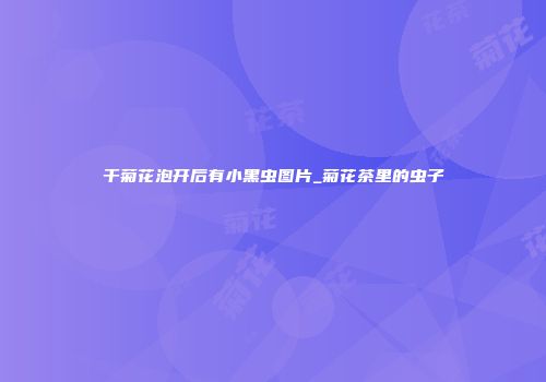 干菊花泡开后有小黑虫图片_菊花茶里的虫子