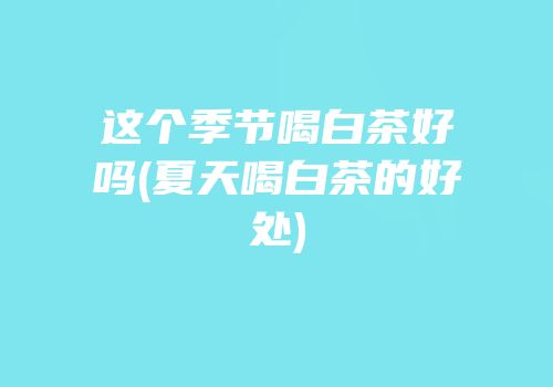 这个季节喝白茶好吗(夏天喝白茶的好处)