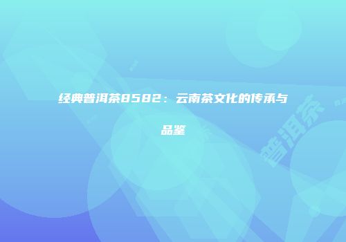 经典普洱茶8582：云南茶文化的传承与品鉴