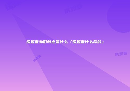 铁观音外形特点是什么「铁观音什么样的」