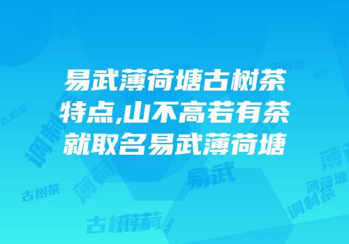 易武薄荷塘古树茶特点,山不高若有茶就取名易武薄荷塘