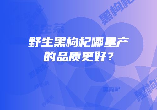 野生黑枸杞哪里产的品质更好？