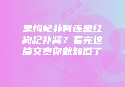 黑枸杞补肾还是红枸杞补肾？看完这篇文章你就知道了