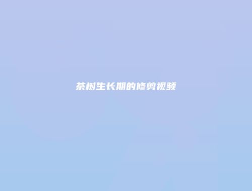 茶树生长期的修剪视频