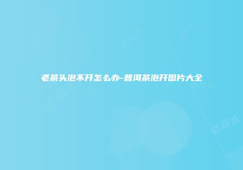 老茶头泡不开怎么办-普洱茶泡开图片大全