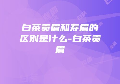 白茶贡眉和寿眉的区别是什么-白茶贡眉