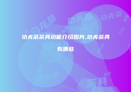 功夫茶茶具功能介绍图片,功夫茶具有哪些