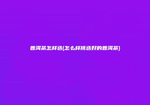 普洱茶怎样选(怎么样挑选好的普洱茶)