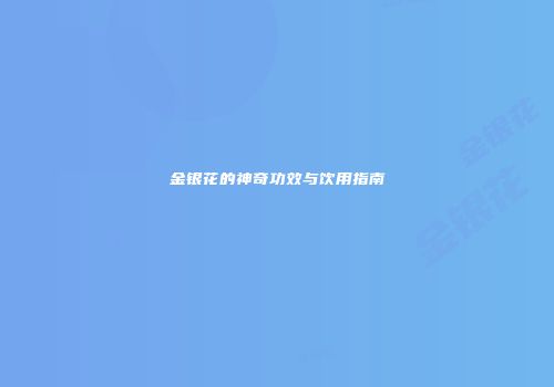 金银花的神奇功效与饮用指南
