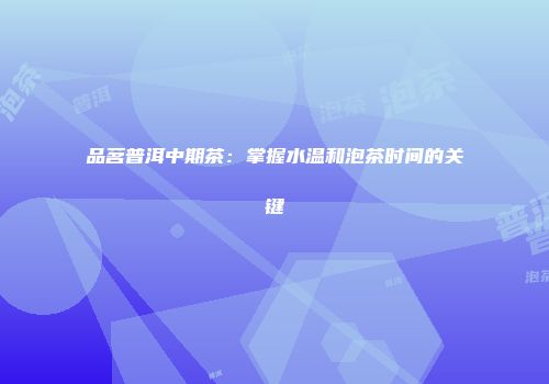 品茗普洱中期茶：掌握水温和泡茶时间的关键