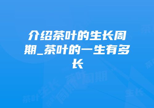 介绍茶叶的生长周期_茶叶的一生有多长