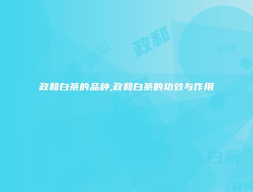 政和白茶的品种,政和白茶的功效与作用
