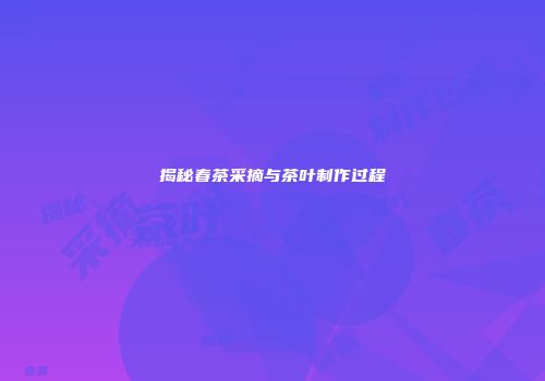 揭秘春茶采摘与茶叶制作过程