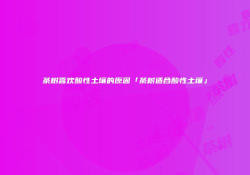 茶树喜欢酸性土壤的原因「茶树适合酸性土壤」