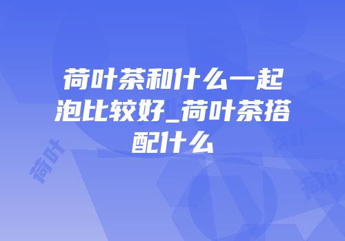 荷叶茶和什么一起泡比较好_荷叶茶搭配什么