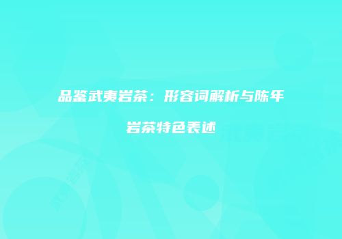品鉴武夷岩茶：形容词解析与陈年岩茶特色表述