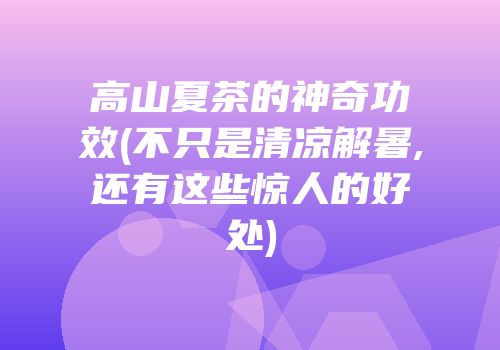 高山夏茶的神奇功效(不只是清凉解暑,还有这些惊人的好处)