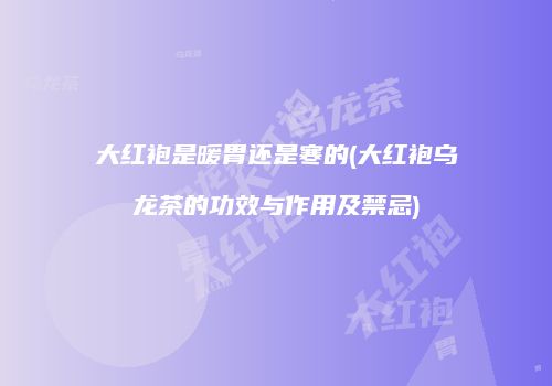 大红袍是暖胃还是寒的(大红袍乌龙茶的功效与作用及禁忌)