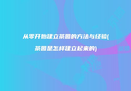 从零开始建立茶园的方法与经验(茶园是怎样建立起来的)
