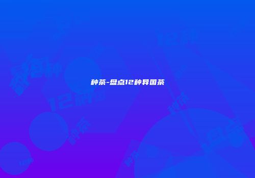 种茶-盘点12种异国茶