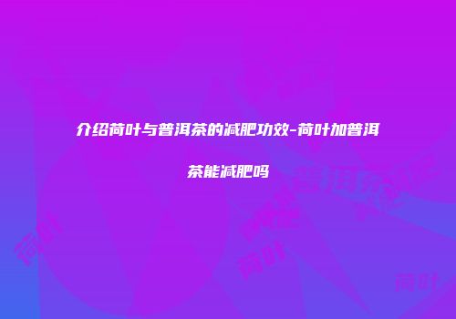 介绍荷叶与普洱茶的减肥功效-荷叶加普洱茶能减肥吗
