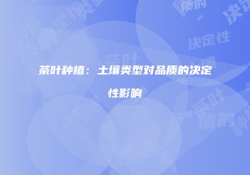 茶叶种植：土壤类型对品质的决定性影响