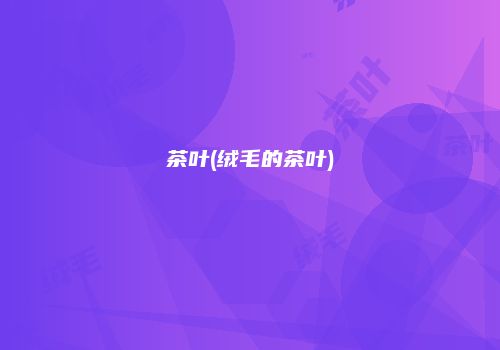 茶叶(绒毛的茶叶)