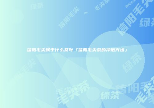 信阳毛尖属于什么茶叶「信阳毛尖茶的冲泡方法」