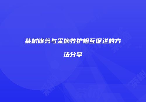 茶树修剪与采摘养护相互促进的方法分享