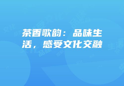茶香歌韵：品味生活，感受文化交融