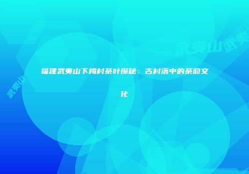 福建武夷山下梅村茶叶探秘：古村落中的茶韵文化