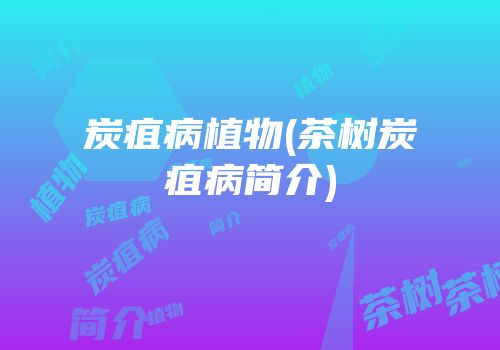 炭疽病植物(茶树炭疽病简介)